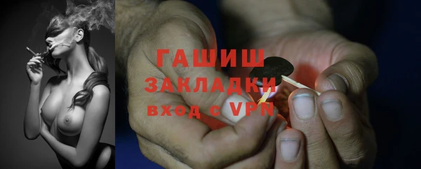 ПСИЛОЦИБИНОВЫЕ ГРИБЫ Верея