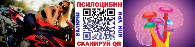 что такое   Пикалёво  Псилоцибиновые грибы ЛСД 